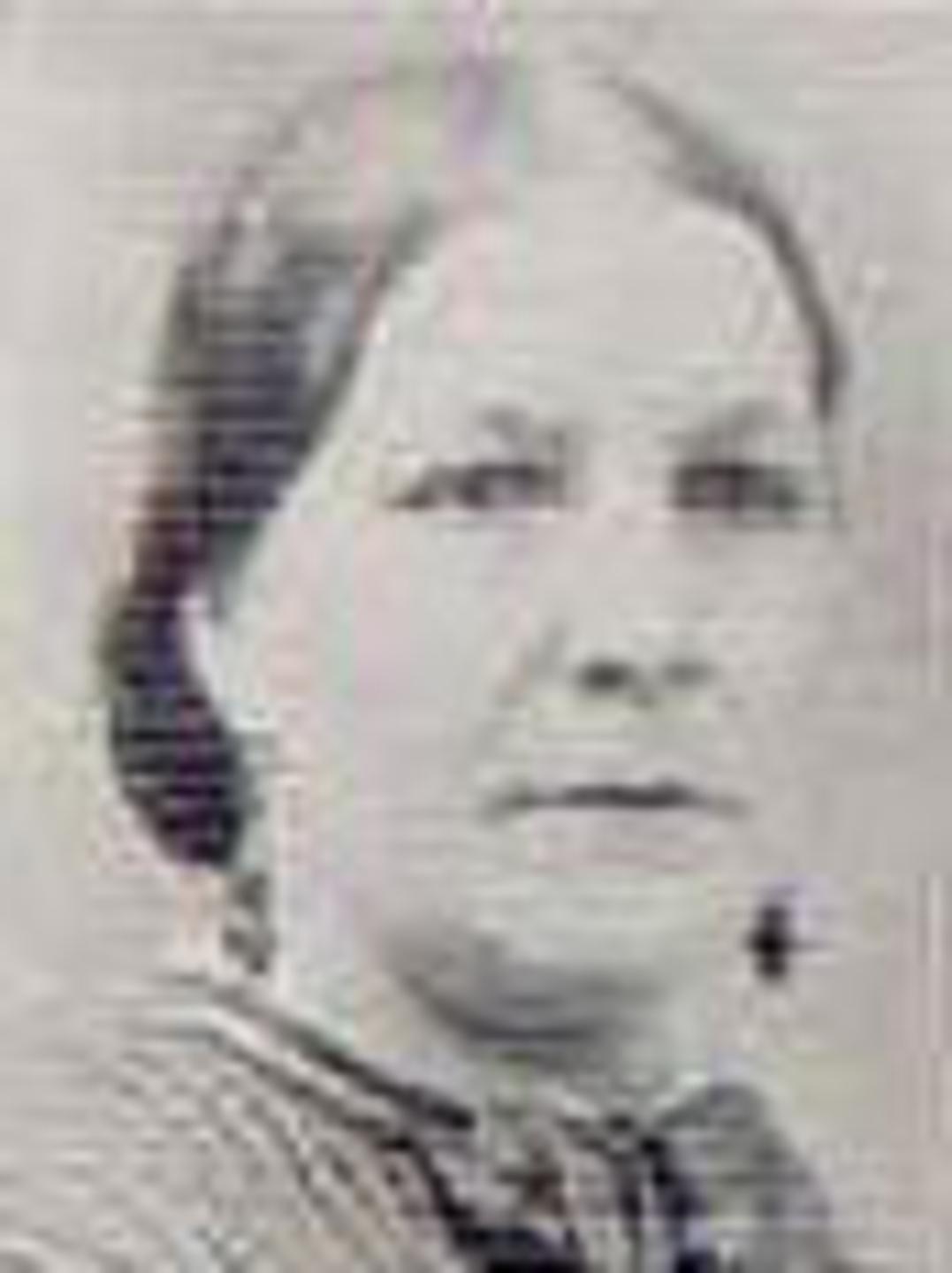 Elizabeth Seager (1825 - 1901) Profile